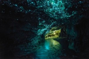 fireflies-caves-1